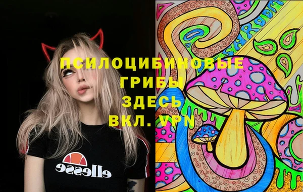 COCAINE Абаза