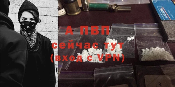 ECSTASY Няндома