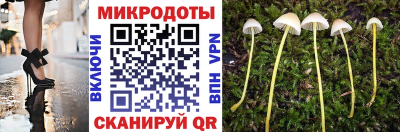 Псилоцибиновые грибы MAGIC MUSHROOMS  Остров 